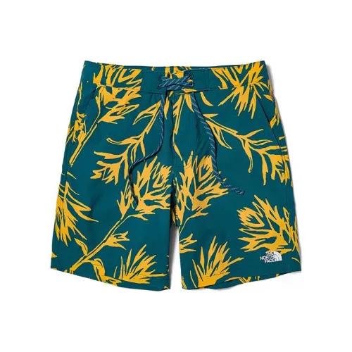 The North Face Blue Men's Casual Shorts The North Face Синие Мужские Повседневные Шорты