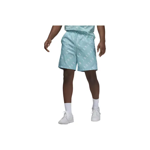 Джордан Аква Зеленый Мужские Повседневные Шорты