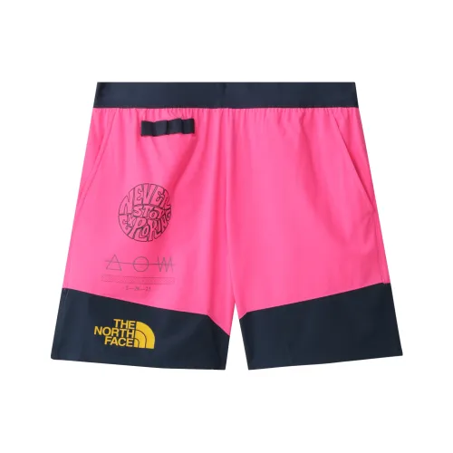 The North Face Розовые Мужские Повседневные Шорты