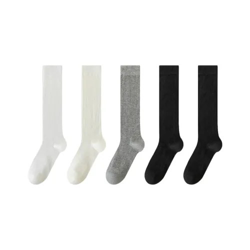 HALO HONEY Колено Высокие Носки Женские Combo Set