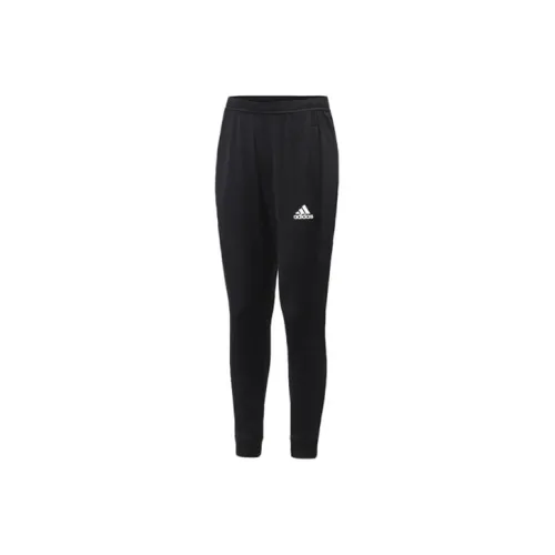 Adidas Мужские спортивные брюки черного цвета