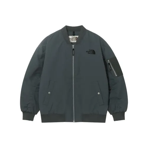 THE NORTH FACE Hayden EX Термо BOMBER Пуховая куртка Мужская Темно-серая