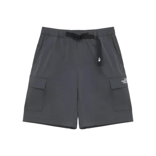 THE NORTH FACE Ледяной Шестерня Loft Шорты карго Унисекс Уголь
