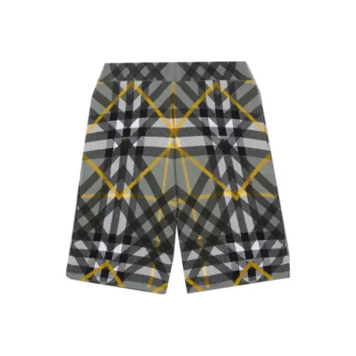 Burberry SS23 Повседневные шорты Мужские Серые