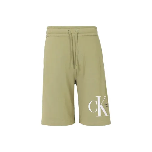 Calvin Klein Khaki Мужские Повседневные Шорты