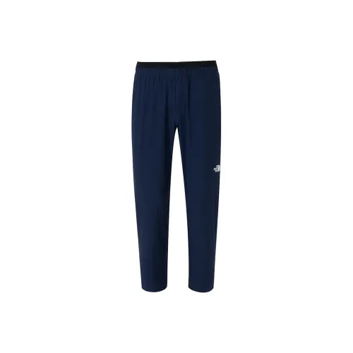 THE NORTH FACE Быстросохнущие Брюки Мужские Синие