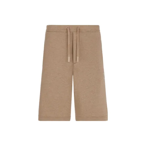 DIOR Quarterly New Products Khaki Мужские Повседневные Шорты