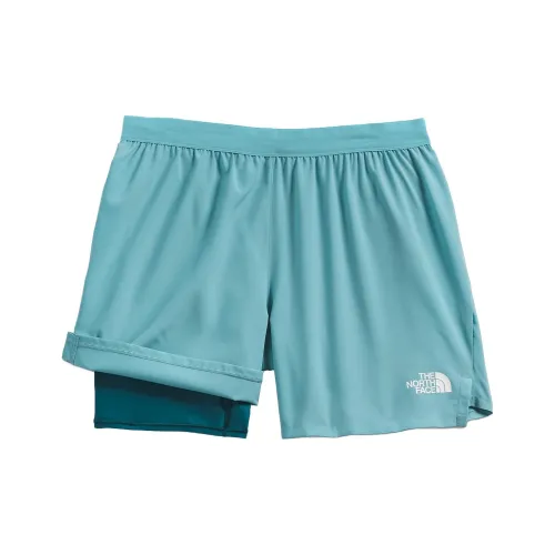 THE NORTH FACE Коралловый Reef Aqua Blue Мужские Повседневные Шорты