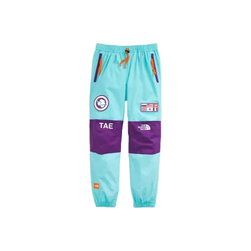 THE NORTH FACE Urban Exploration Синие Мужские Лыжные Штаны