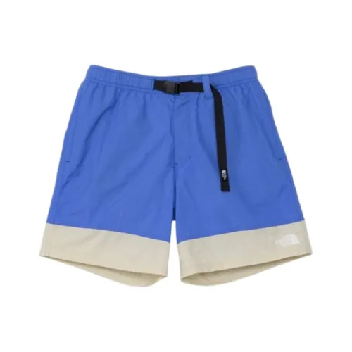 The North Face Nse Collection Повседневные шорты Мужские Синие