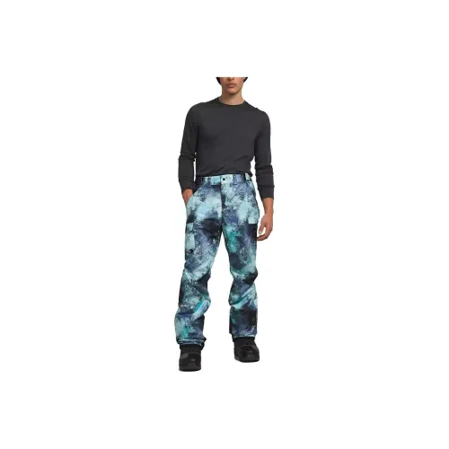 THE NORTH FACE 1995 Collection Синий Мужской Повседневный Брюки