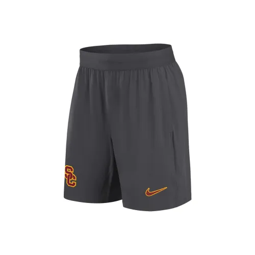 nike SS24 Повседневные шорты Мужские Угольный серый