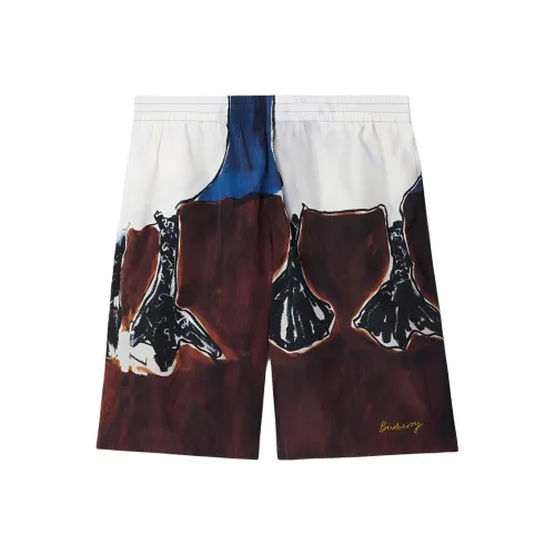 Burberry Повседневные шорты Мужские Многоцветные