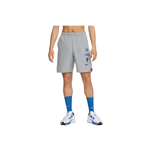 Nike Gray Men's Casual Shorts Nike Серый Мужские Повседневные Шорты