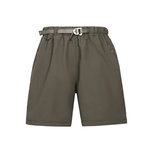 Nike ACG Рудный Серый Мужские Повседневные Шорты