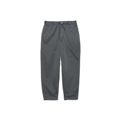 THE NORTH FACE PURPLE LABEL Повседневные брюки Унисекс Асфальт Серый