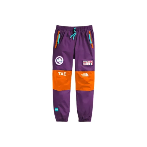 The North Face Purple Men's Ski Pants The North Face Фиолетовые Мужские Лыжные Штаны