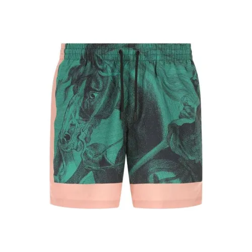 DRIES VAN NOTEN Зеленые Мужские Повседневные Шорты