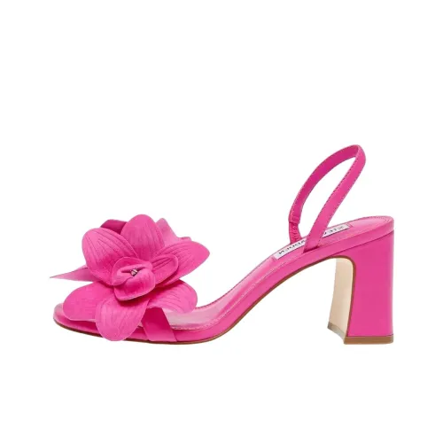 STEVE MADDEN Farrie one Ремень Сандалии Женские Розовый