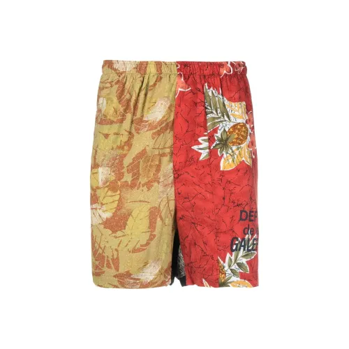 Gallery Dept. Многоцветные Мужские Повседневные Шорты