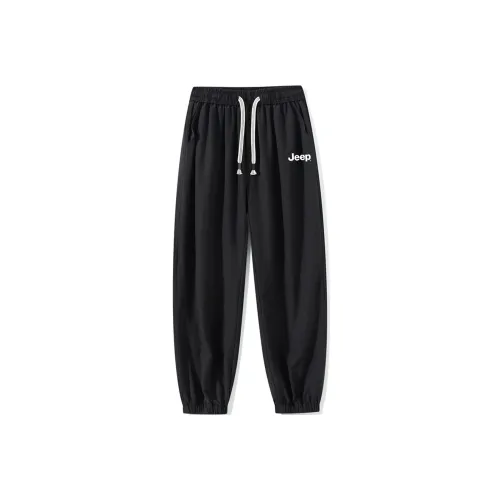 JEEP Унисекс Повседневные брюки