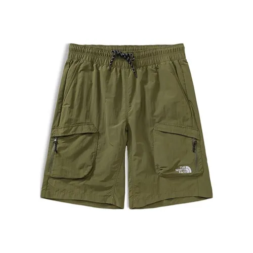 The North Face Повседневные шорты Мужские