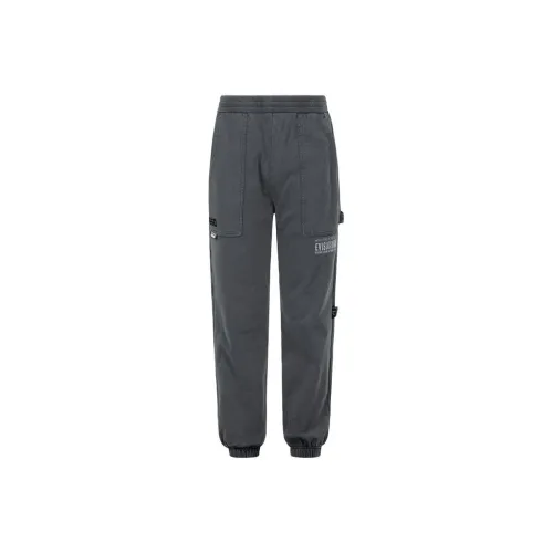 EVISU Серый Унисекс Повседневные Штаны