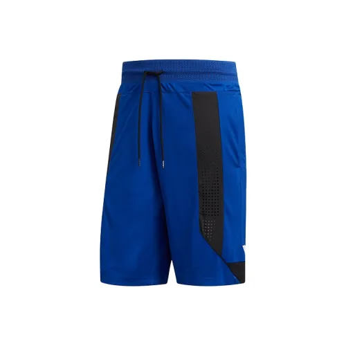 Adidas Коллегиальный синий Мужские спортивные шорты