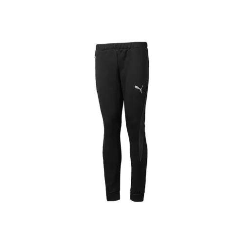 PUMA Мужские спортивные брюки черного цвета