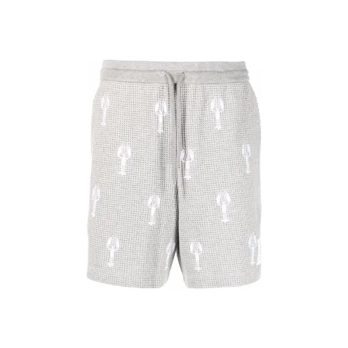 THOM BROWNE Серые Мужские Повседневные Шорты