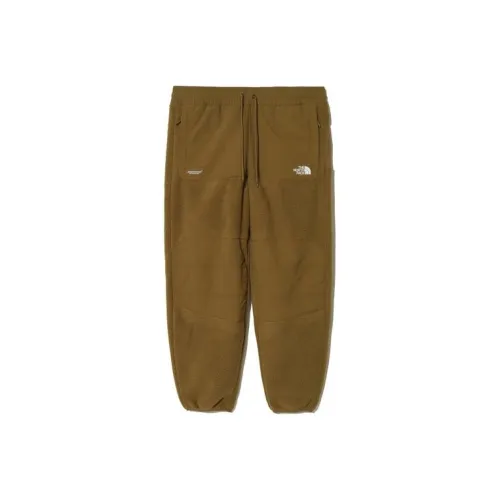 THE NORTH FACE SOUKUU FW23 Флисовые штаны Унисекс Оливковый