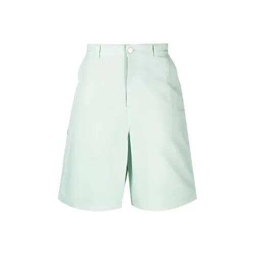 AMIPARIS Зеленые Мужские Повседневные Шорты