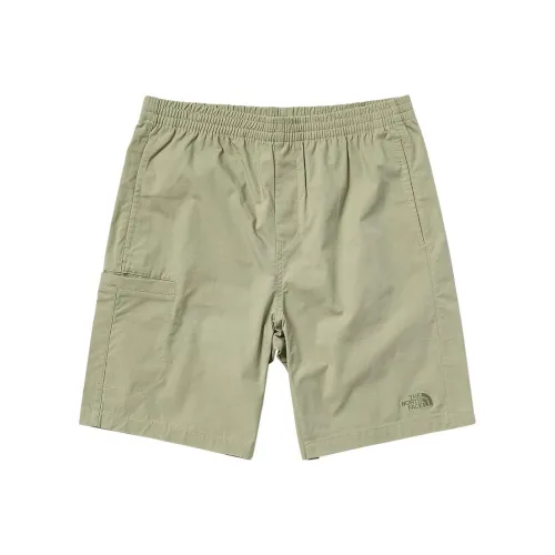The North Face Зеленые Мужские Повседневные Шорты