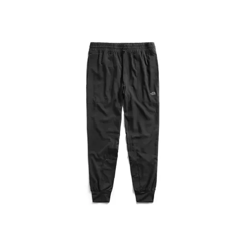THE NORTH FACE Мужские спортивные брюки