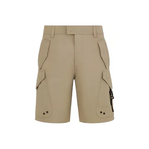 DIOR Khaki Мужские Повседневные Шорты