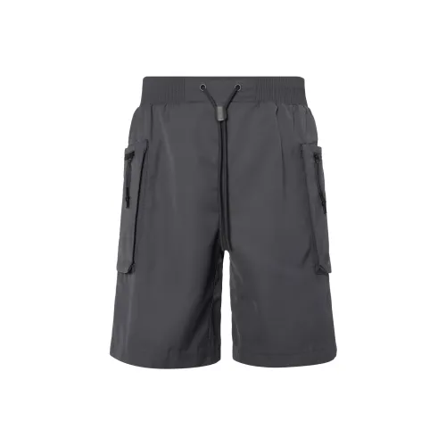 Nike Повседневные шорты Мужские Железо Серый