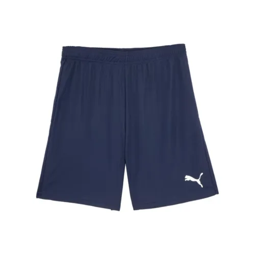 PUMA TEAMGOAL 23 KNIT Blue Men's Casual Shorts
