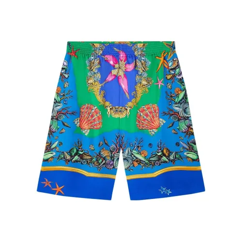 VERSACE Многоцветные Мужские Повседневные Шорты