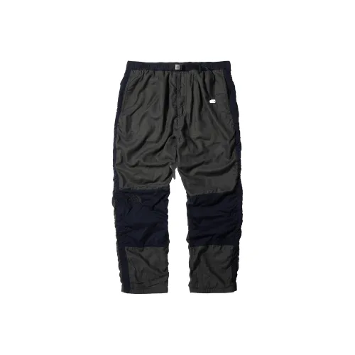 The North Face Серые Мужские Спортивные Брюки
