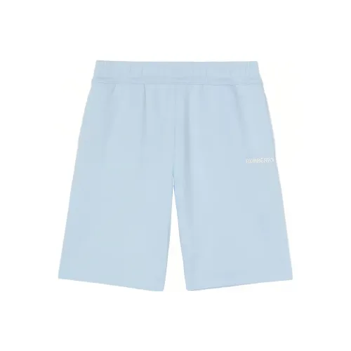 Burberry FW22 Повседневные шорты Мужские Синие