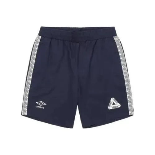 Дворцовые синие мужские повседневные шорты