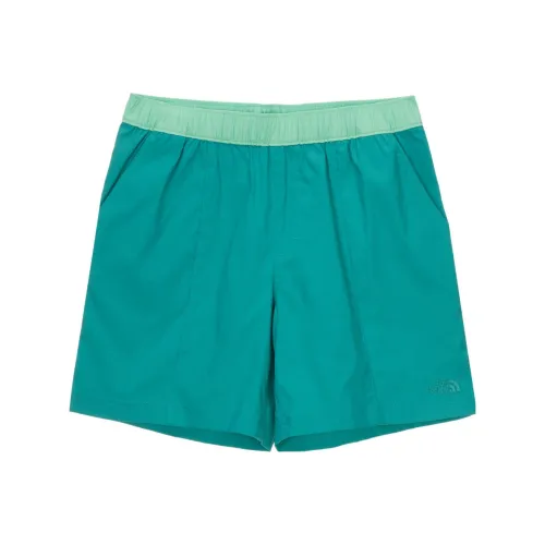 The North Face Повседневные шорты Унисекс Синий Зеленый