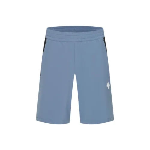 DESCENTE Тренировка Повседневные Шорты Мужские