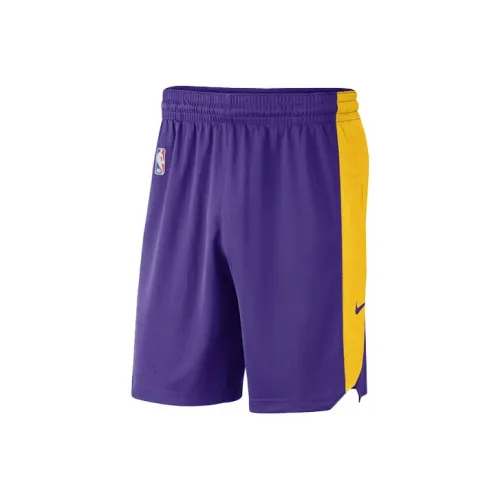 Nike Баскетбольные шорты Мужские Фиолетовые