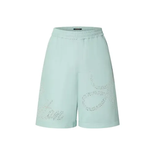 LOUIS VUITTON FW23 Повседневные шорты Мужские Синие