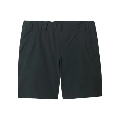 THE NORTH FACE Повседневные шорты Мужские Серые