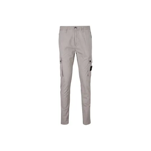 Stone Island Тауповые Мужские Повседневные Брюки