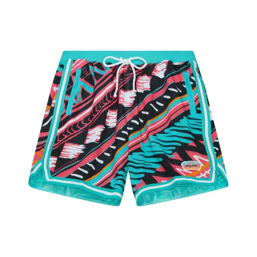 MITCHELL NESS Шорты Мужские Синие Зеленые