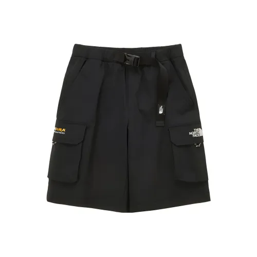 The North Face Черные Унисекс Повседневные шорты
