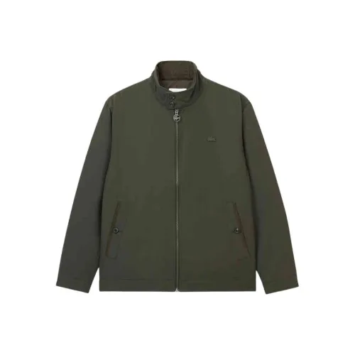 Мужские пуховики LACOSTE Collaboration